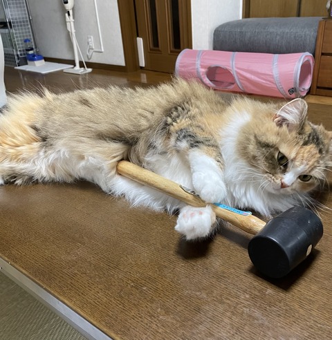 195E7445-0544-424F-8005-1898044917A5