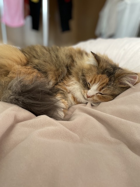 ED217174-ADC8-4DFF-851D-442DDBDD64D7