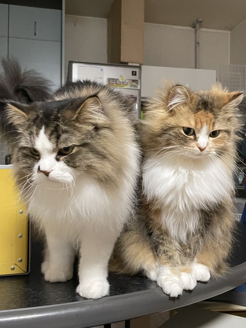 52150108-E4AA-4229-8C5B-2906C5AFF2A3