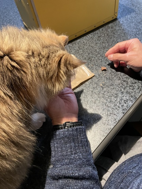 247E0FAB-4D7F-4B39-BE86-9F2B2536DF40