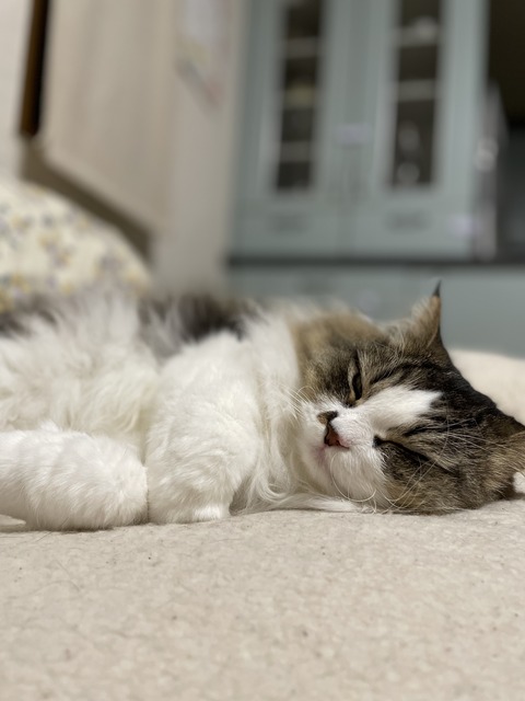 FBACC70B-7A03-4821-8C11-0711CDBFE972