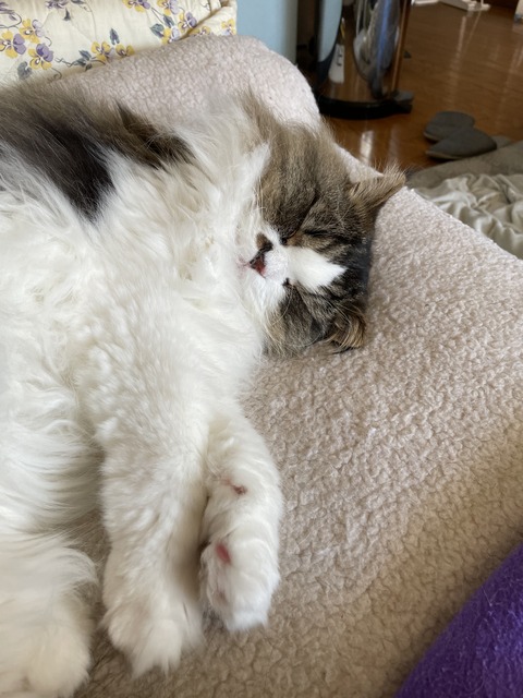 71F63FEA-56A6-4559-8D7B-B1E7E8356A27