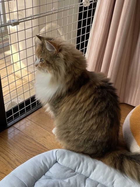 58C12BE0-3D4A-4717-AEC4-0B142BCE2B9E