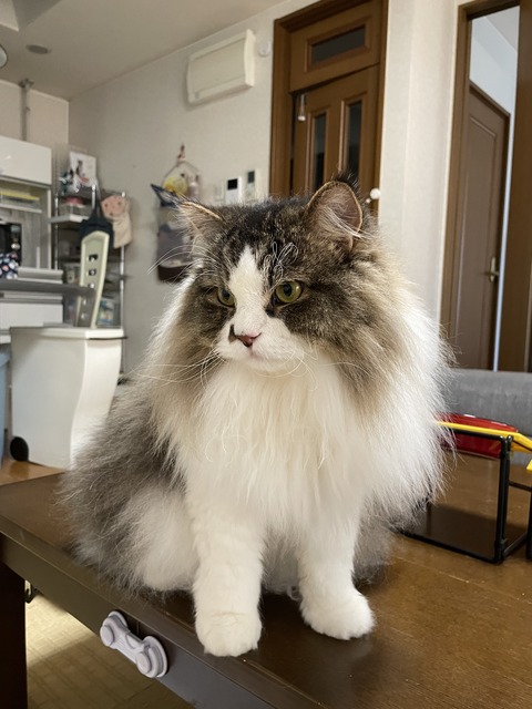 2719DB2C-52AC-419A-8494-395EDAAC70BF