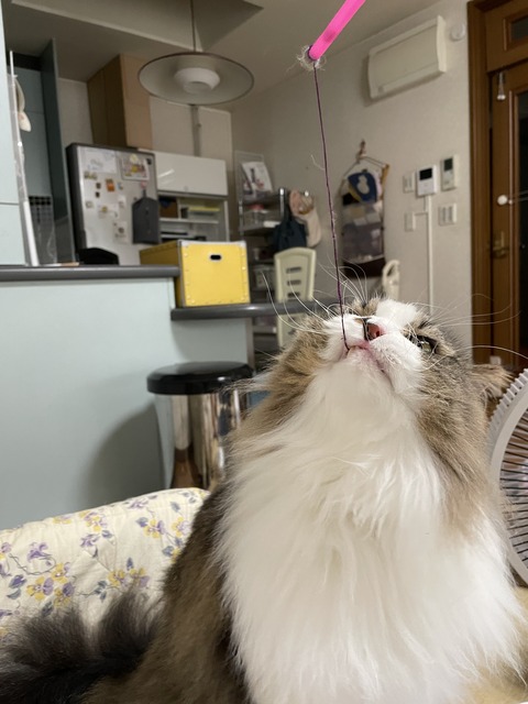 F54FAB87-98B5-42CF-9CBF-81314509C2CE