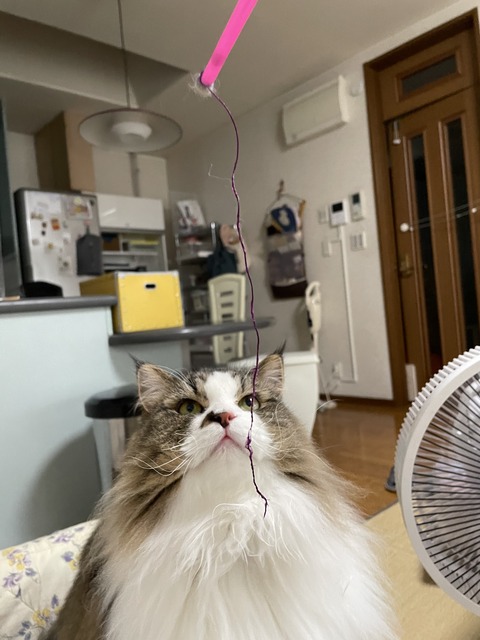 DE14978A-B44B-4280-90D1-56993894E0E9