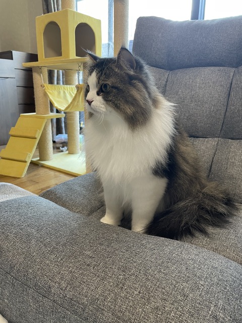 04766F5B-1617-4B96-8D75-17A0735360F9