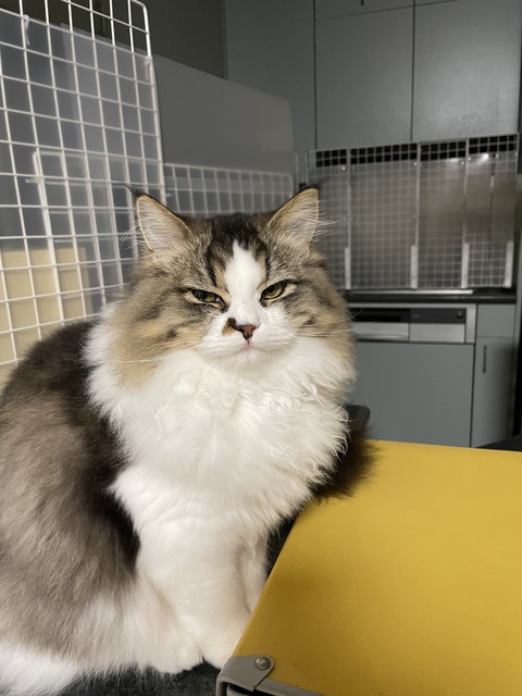 DB3F2A3C-EC0C-4E43-A3FA-35BC66CFE72B