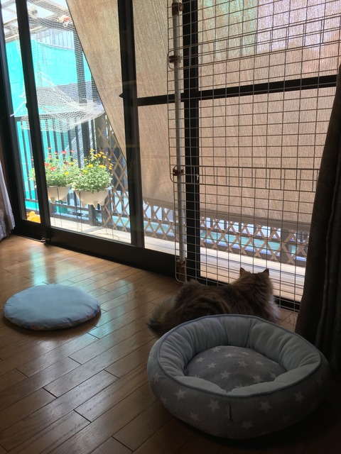 046C9251-CEED-4F5E-A470-A5ED4BB4C3F5