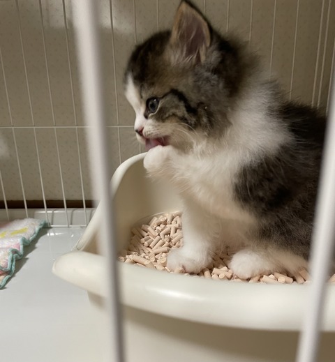 B39F436D-C9BD-4A2E-9BB2-C36177F01A43