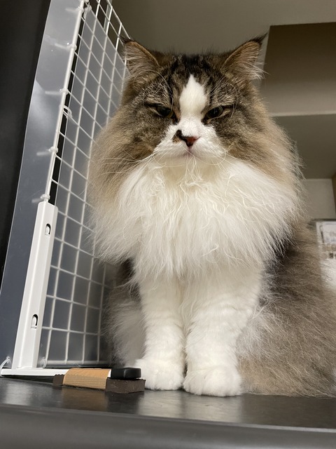 41733B51-8B58-4B60-8D5B-A4F6C3872C46