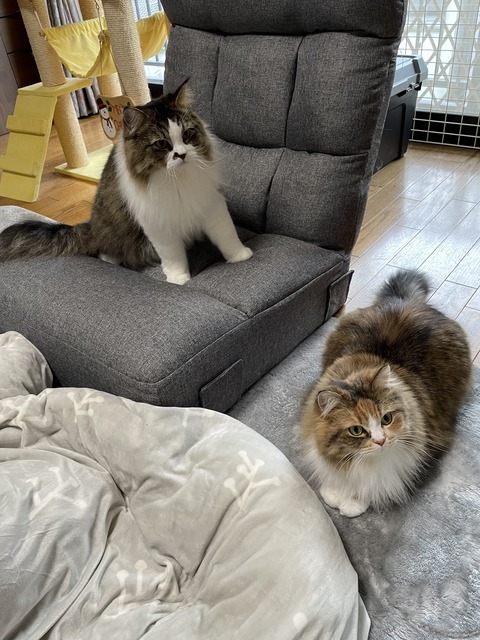 8553F35C-4419-4B17-8709-6D102839E558