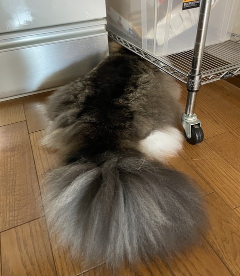 C397B4C3-6B21-4C04-8BA1-7DA83FC90206