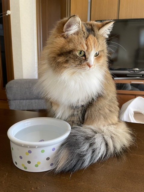 90175081-D0FB-42B9-A853-2D77BEF0AA6F