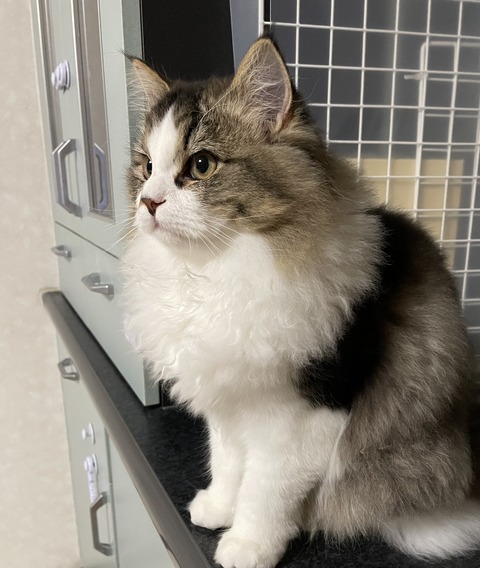 BD7F4FEA-42BC-4D01-AEB2-E916A15EAFA2