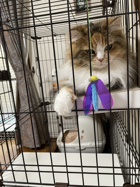 F560A063-4268-4713-98CD-9D87E8146D13