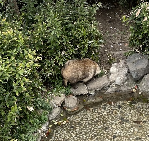 EE58E55F-5FAD-472C-88AE-24CDC761A8CF