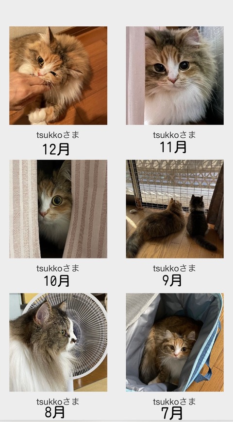 9867D324-121A-451D-A851-4CDDF5D6541D