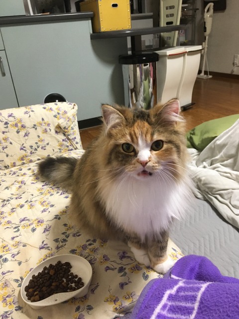 7E192183-C82D-4555-92D0-194C3513BC97