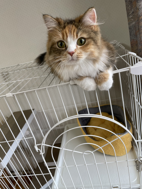 C848A84D-3F1A-4FD9-B7C8-6E8807B86FE4