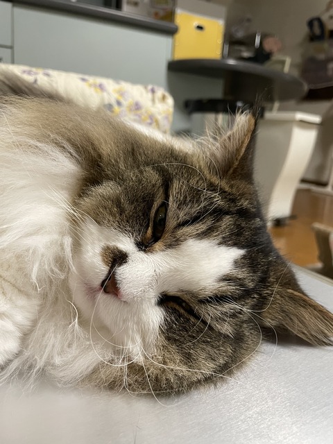 310766A4-A047-4333-B7A5-398A46A43CFB