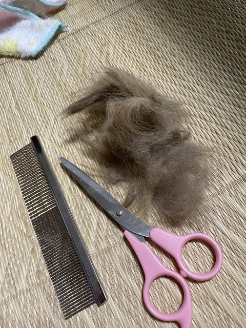 3FC688A1-4518-49EC-A49E-053A33609B3E