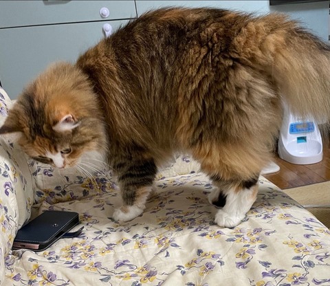 C96043A8-9C5D-41D8-86FB-3B9534276119