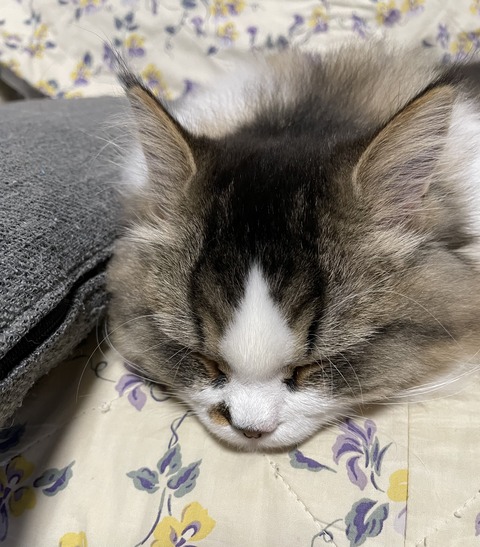 01D5731F-3BDA-48E5-A234-F674BFBB9571