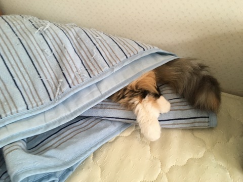 CD9F8490-6722-48F6-BF35-C07DB5C078D7