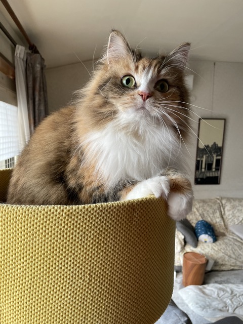 42BA2214-3610-4E4B-AF9B-2983490248C3