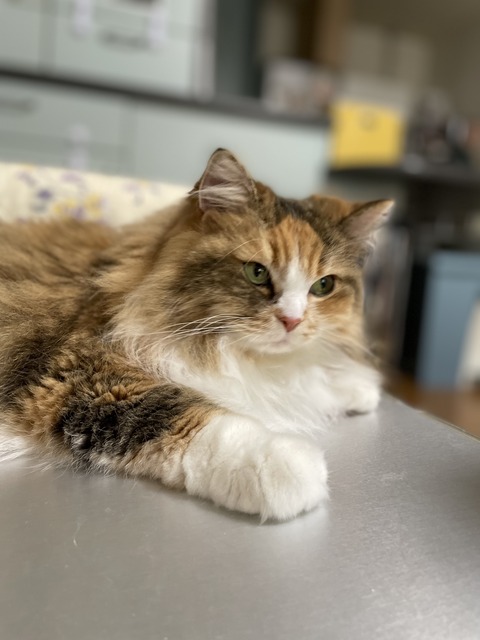 B5FB3BC1-CFA1-4B73-B485-44E7FA201C1E