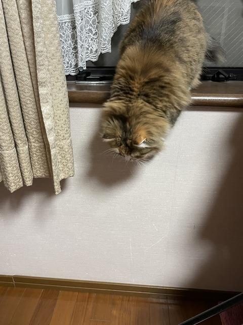 CCEC74F8-3A0A-44EC-A48F-9026E98059FA