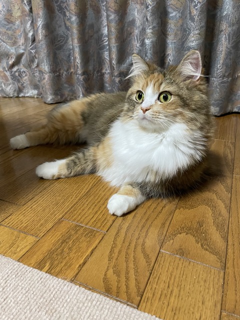 8547FB32-A574-441B-A1BA-D9AB315F0B4E