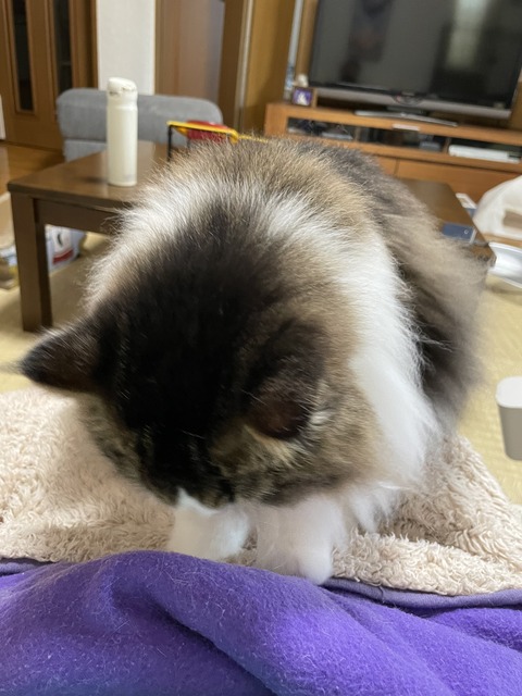 958C2C2D-AE7C-4C4E-A83C-33BB47C17F28