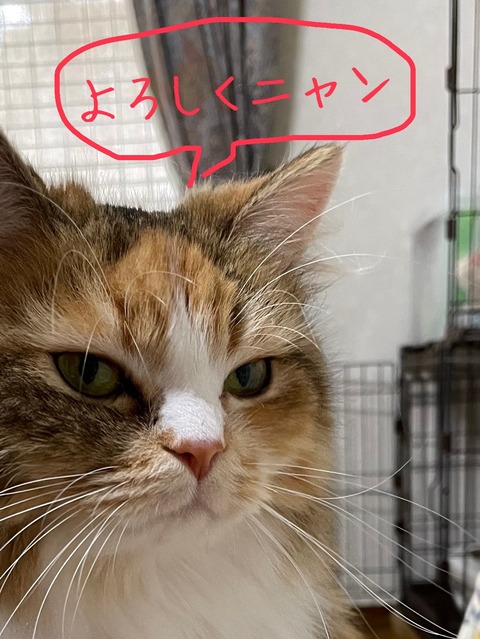 91FDF591-6698-4B27-8023-30A240C463B3