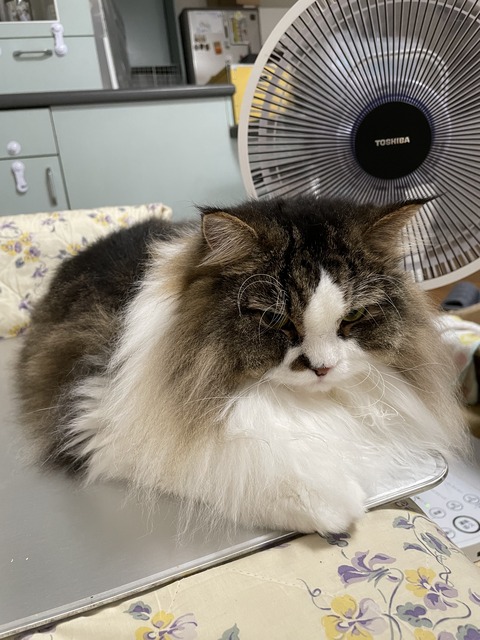 0BFD239C-D98F-4FDE-827A-D09516576D56