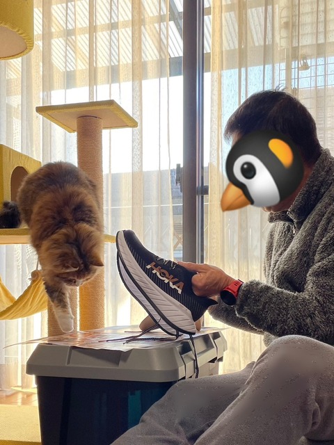 D22A8AFE-6175-4012-9A4E-EB71EB10E83F