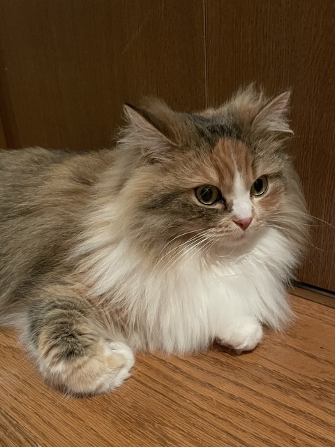 F26EF582-1EB8-4204-9F65-193C4BA26FD5