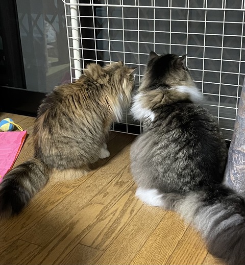 6AA4363B-A4AA-4CEF-A783-1D8D409E7D71