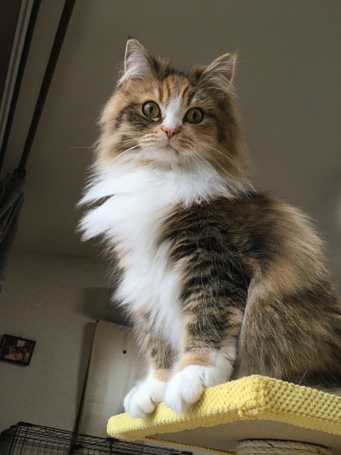 2F3CF680-3AEE-4657-96F1-148A38D88CBB