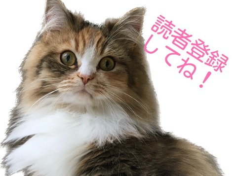 A2A3F519-AAFF-4D51-BE8B-6AE5D9240928