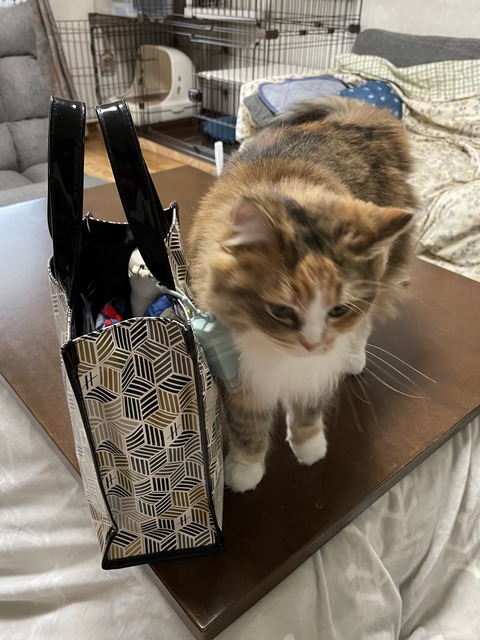 CF9C236E-06E0-479C-9CD9-4A2A07FEC8C2