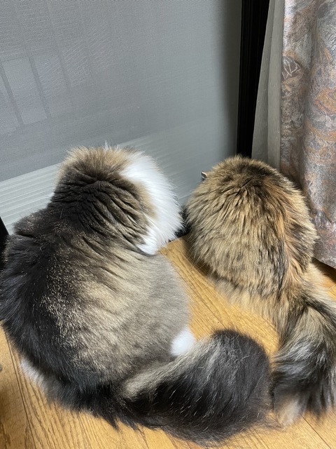 DB6A5ADE-4505-41FA-9777-138DEFD4114B