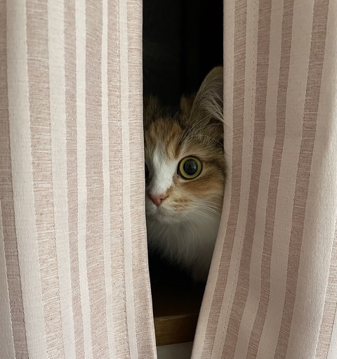 3B4E1FF9-F34A-42EB-85BD-729489F83267