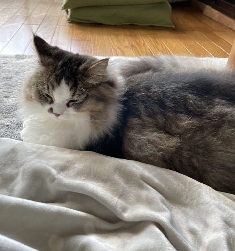 73C70E6A-F43A-49B9-8046-64DECAD5FF2F