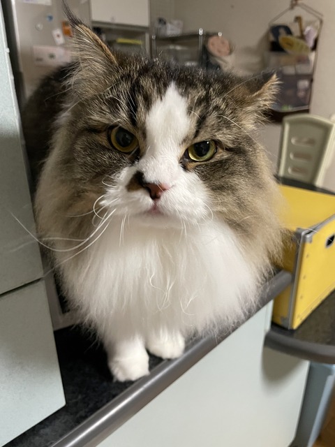 DAA7CC4E-E60F-463E-AD5A-B7C9F6BD19DD