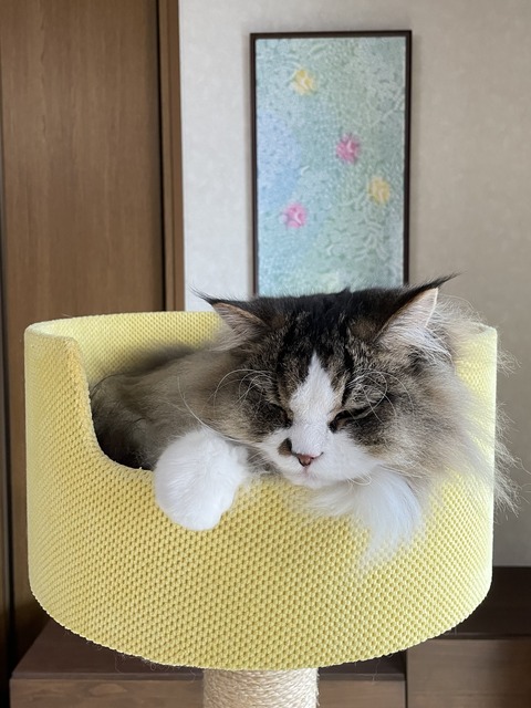 0DFCAFE9-C6DD-4CB9-AE25-C673B0D0FEB3