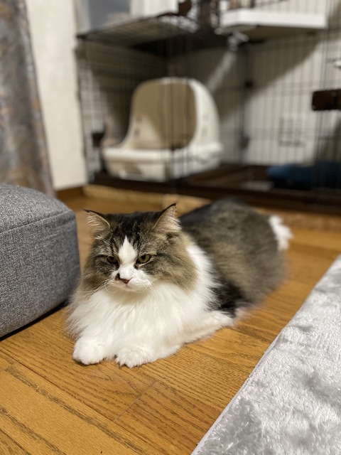 75EC0A51-56D6-47E2-8D4D-3A48DF068C9E