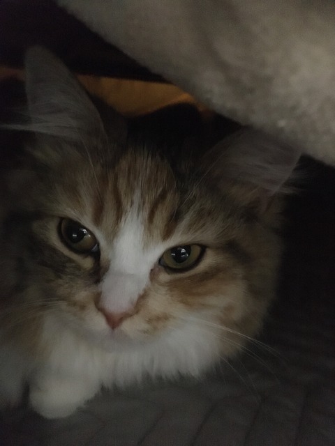 E8DE4FC2-9714-42C6-8220-6B960EE9C570