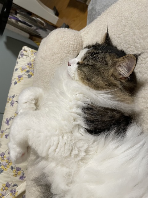 EDD4EDCC-17BB-439B-9C05-54B836F79332